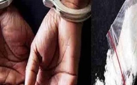 शिमला पुलिस ने दबोचा नशा तस्कर गिरोह का सरगना:UP से 3 स्टेटों में नशा सप्लाई; हरियाणा में ड्रीम-11 में लगाता है रुपए