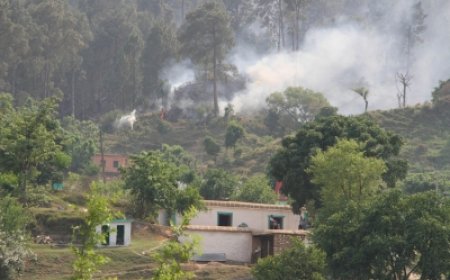 पाकिस्तान ने लगातार 12वें दिन किया संघर्ष विराम का उल्लंघन, भारतीय सेना ने दिया जवाब