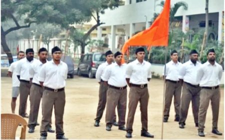 संघ शाखा एक विस्तारित परिवार