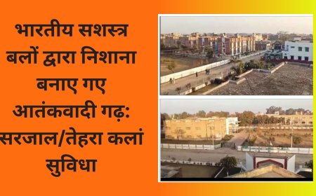 भारतीय सशस्त्र बलों द्वारा निशाना बनाए गए आतंकवादी गढ़: सरजाल/तेहरा कलां सुविधा