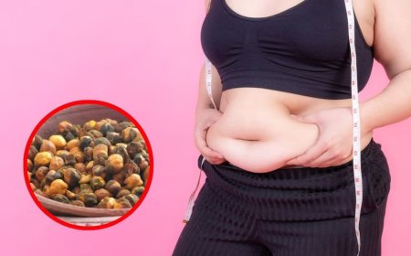 मोटापा कम करने के लिए भुना हुआ चना कैसे खाएं? डॉक्टर ने बताया इस तरीके से पिघल जाएगी शरीर में जमा चर्बी
