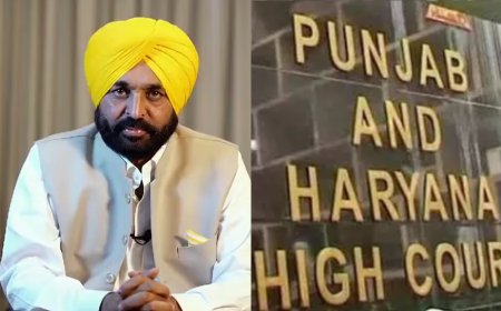 पाकिस्तान का जिक्र, भगवंत मान सरकार को फटकार, पानी विवाद में क्या बोला HC