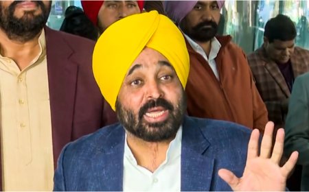 पाकिस्तान ने पुंछ में गुरुद्वारे पर किया हमला, सीएम भगवंत मान ने की निंदा, कही ये बात