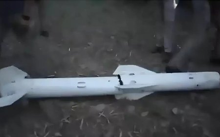 पाकिस्तानी मिसाइलों का भारत ने किया ये हाल, होशियारपुर से आए इन वीडियो को देख आप भी करेंगे वायुसेना को सैल्यूट