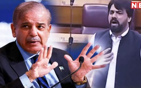 पाकिस्तान का पीएम बुजदिल... भारत ने घर में घुसकर मारा तो शहबाज शरीफ के खिलाफ पाकिस्तानी संसद में उबाल, गीदड़ से तुलना