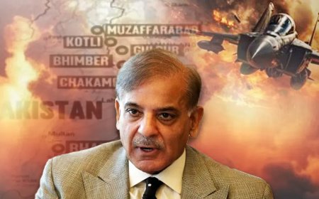 सीजफायर तो हुआ पर भारत ने पाकिस्तान के 5 झूठ किए बेनकाब, दुनिया को दिखाया PAK का असली चेहरा