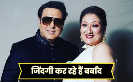 दो कौड़ी के पैसों के लिए जिंदगी बर्बाद… पति गोविंदा के करियर को लेकर सुनीता अहूजा ने जताई चिंता, दोस्तों पर भी डाला दोष