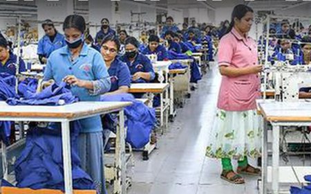 सरकारी नौकरी:कॉटन कॉर्पोरेशन ऑफ इंडिया में 147 पदों पर निकली भर्ती; सैलरी 1लाख 20 हजार तक, एग्जाम से सिलेक्शन