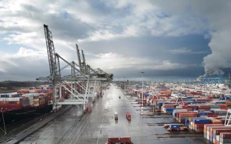 वित्त वर्ष 2024-25 में देश के प्रमुख बंदरगाहों में संभाला गया कार्गो रिकॉर्ड 855 मिलियन टन पहुंचा