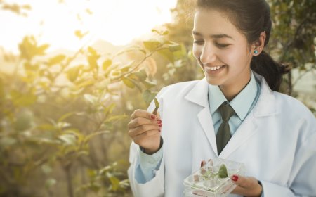 अब हर साल 23 सितंबर को मनाया जाएगा आयुर्वेद दिवस : केंद्र