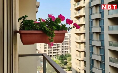 नोएडा की सोसायटी में गमला गिरा तो AOA और फ्लैट मालिक पर होगी FIR, हादसों में जा चुकी हैं कई जानें