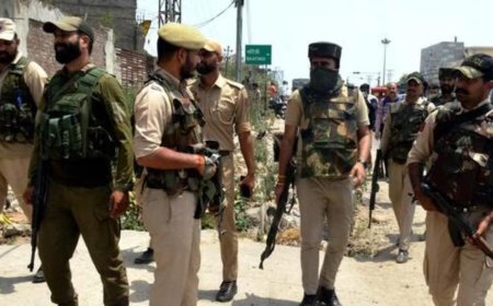 जम्मू-कश्मीर में पुलिस ने आतंकियों के खिलाफ की बड़ी कार्रवाई, श्रीनगर में 11 जगहों पर छापेमारी, 150 लोग निशाने पर