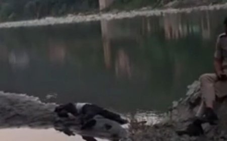 मंडी में ब्यास नदी से व्यक्ति का शव:पास से गुजर रहे राहगीर ने देखा, पहचान के लिए कोई दस्तावेज नहीं