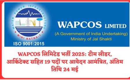 WAPCOS लिमिटेड भर्ती 2025: टीम लीडर, आर्किटेक्ट सहित 19 पदों पर आवेदन आमंत्रित, अंतिम तिथि 24 मई