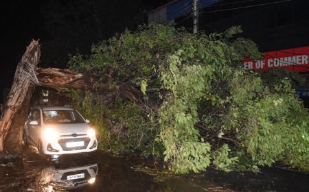 उत्तर प्रदेश में आंधी से अब तक 3 लोगों की मौत और कई घायल, CM योगी ने अधिकारियों को जारी किया निर्देश