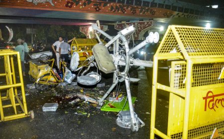 दिल्ली-NCR में आंधी-बारिश का कहर: 3 की मौत, कई घायल, कहीं पेड़ गिरे तो कहीं होर्डिंग टूटी