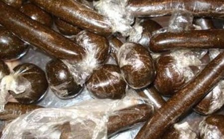 धर्मशाला में नशा तस्कर गिरफ्तार:तलाशी में चरस बरामद, कुल्लू का रहने वाला, सप्लाई करने जा रहा था