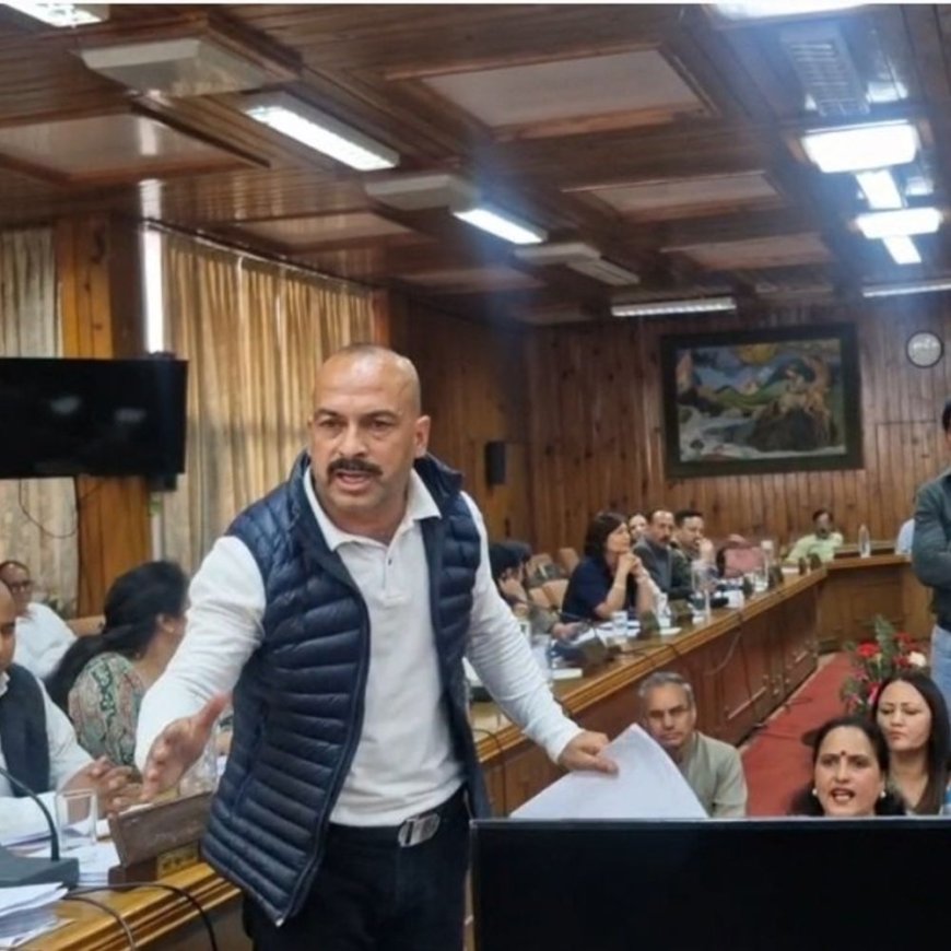 शिमला निगम की बैठक में कुत्तों के मुद्दे पर हंगामा:कांग्रेस पार्षद बोले-शहर में बढ़ रहा आतंक, हाउस 10 मिनट के लिए करना पड़ा स्थगित