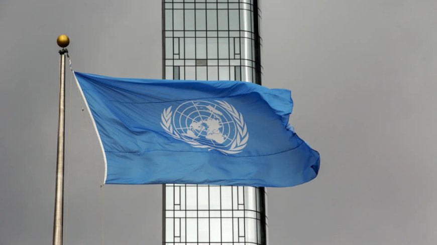 'Deadly blockade' leaves Gaza aid work on verge of collapse: UN, Red Cross