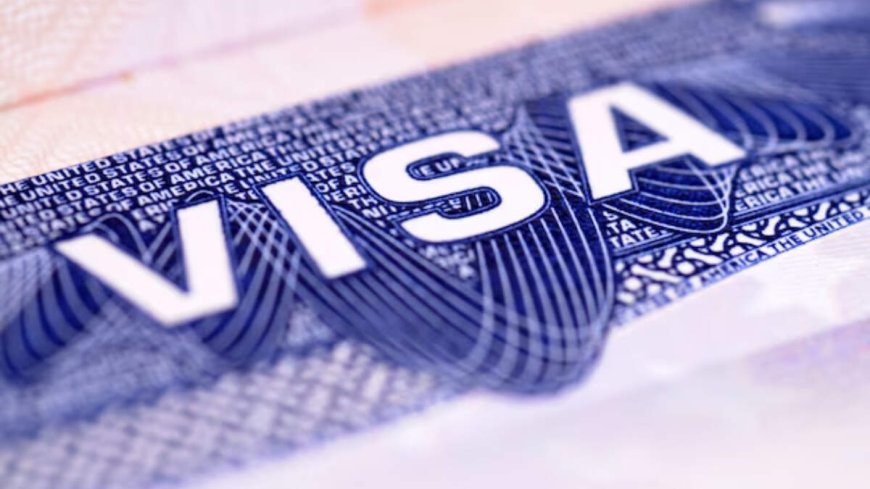 Trump’s ‘catch and revoke’ rule: One strike could cost foreign students their visas