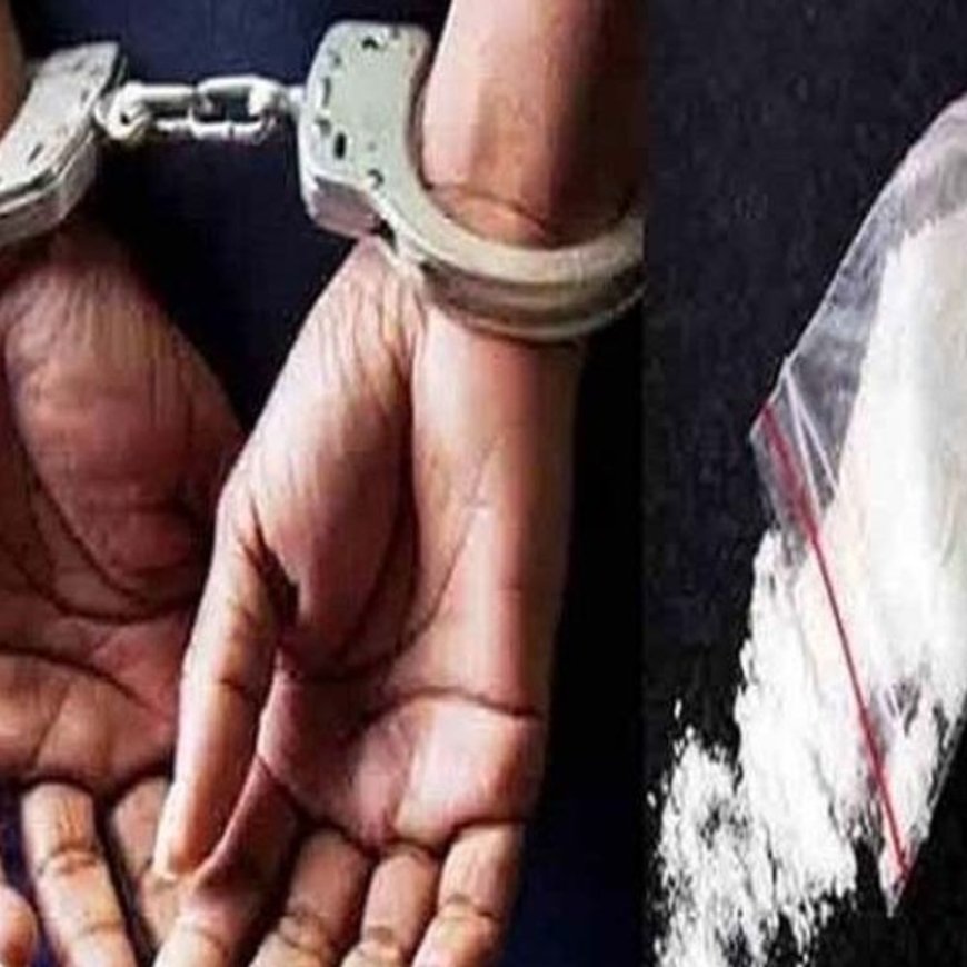 शिमला पुलिस ने दबोचा नशा तस्कर गिरोह का सरगना:UP से 3 स्टेटों में नशा सप्लाई; हरियाणा में ड्रीम-11 में लगाता है रुपए