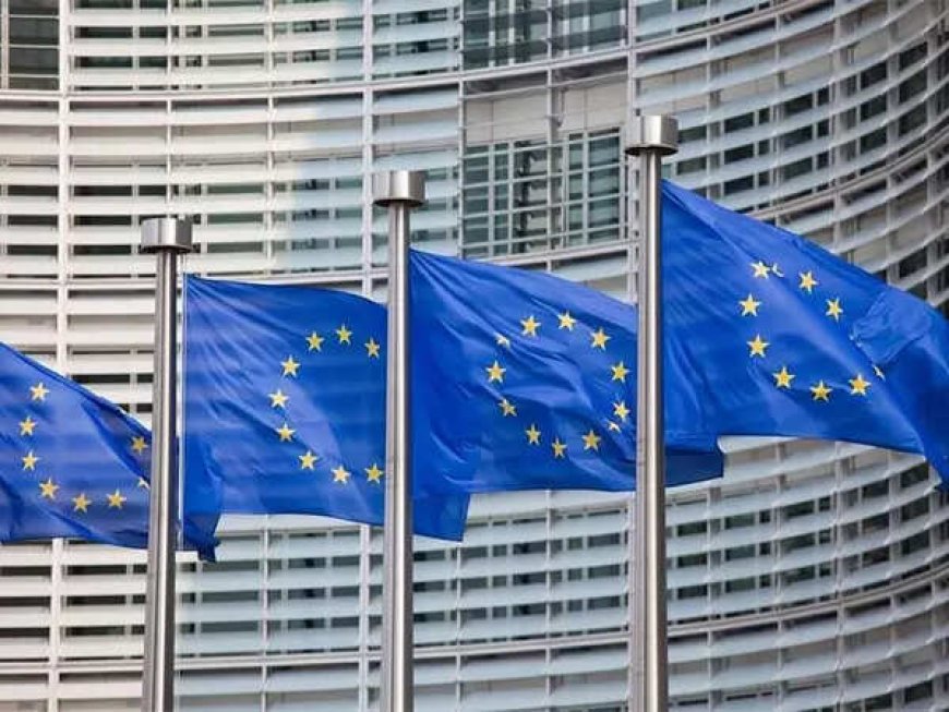 EU publishes US product hit list, prepares for WTO action against Trump's tariffs