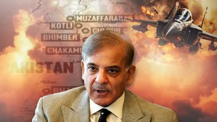 सीजफायर तो हुआ पर भारत ने पाकिस्तान के 5 झूठ किए बेनकाब, दुनिया को दिखाया PAK का असली चेहरा