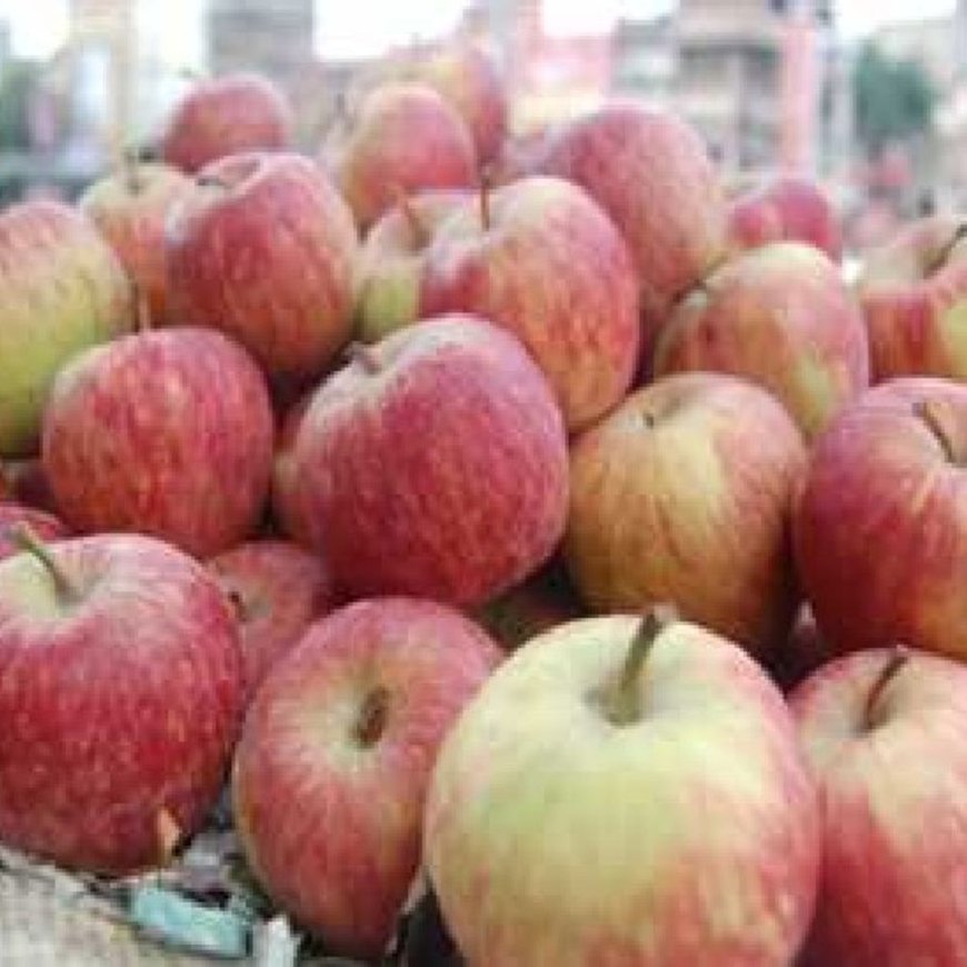 हिमाचल में तुर्की के सेब आयात पर प्रतिबंध की मांग:पाकिस्तान को ड्रोन देने से नाराज, बागवानों और कांग्रेस प्रवक्ता ने केंद्र से की मांग
