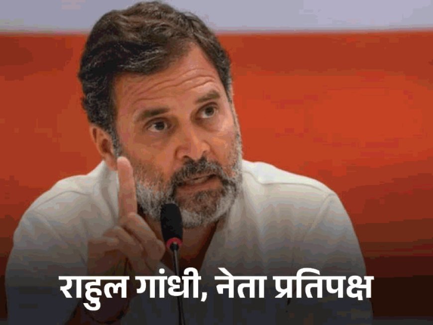 राहुल गांधी चुनेंगे हिमाचल कांग्रेस का नया अध्यक्ष:संगठन और कैबिनेट विस्तार का फैसला भी करेंगे, दिल्ली तलब होंगे CM समेत सभी बड़े नेता