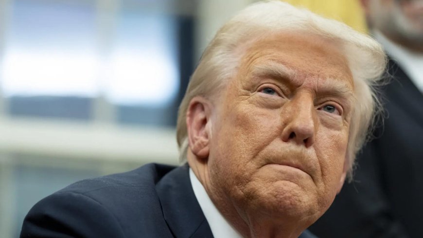 Who is Donald Trump's 'brilliant but seriously overweight' friend from his viral story? Why everyone thinks it's Elon Musk