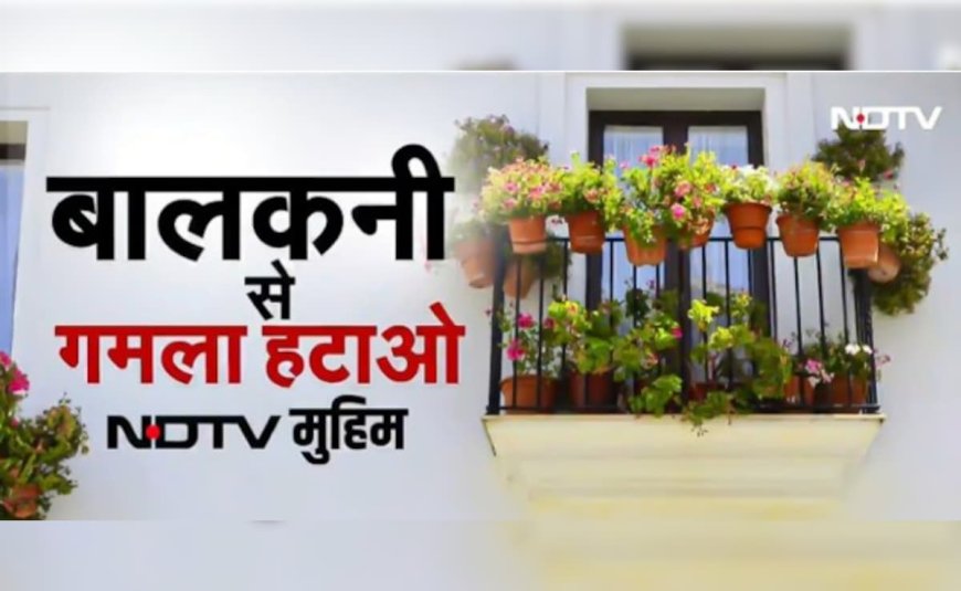 नोएडा में  'जानलेवा गमलों' को दीवार से हटाने का आदेश... NDTV ने चलाई थी 'बालकनी से गमले हटाओ' मुहिम