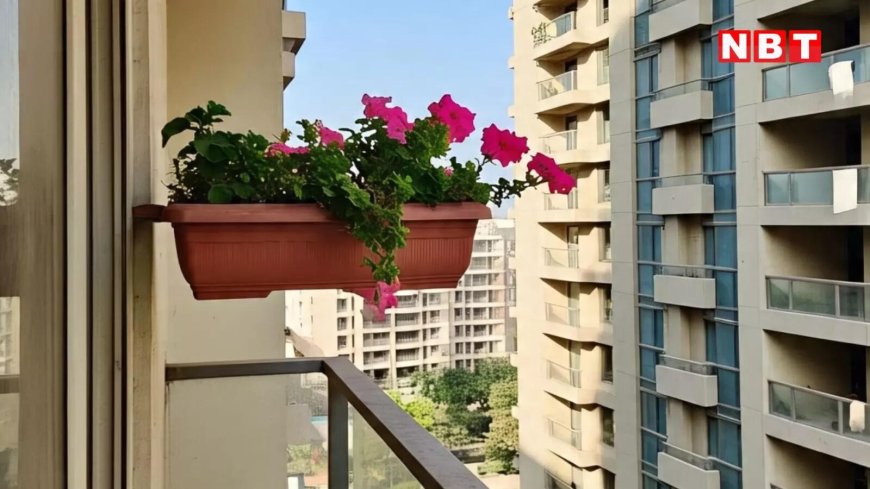 नोएडा की सोसायटी में गमला गिरा तो AOA और फ्लैट मालिक पर होगी FIR, हादसों में जा चुकी हैं कई जानें