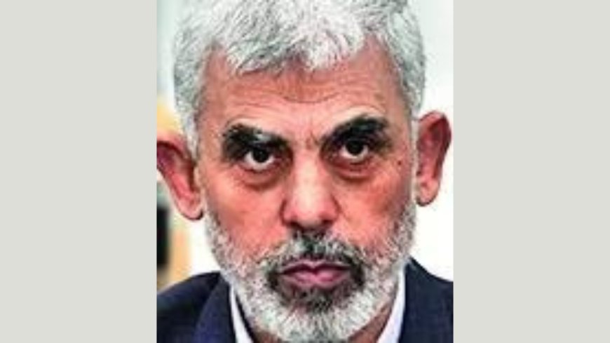 Israeli officials: Conducted air strikes in Khan Younis to kill Yahya Sinwar's brother