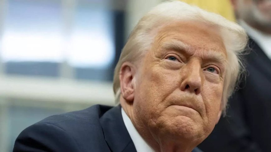 Birthright citizenship hearing today: Trump says it was never for 'people taking vacations'