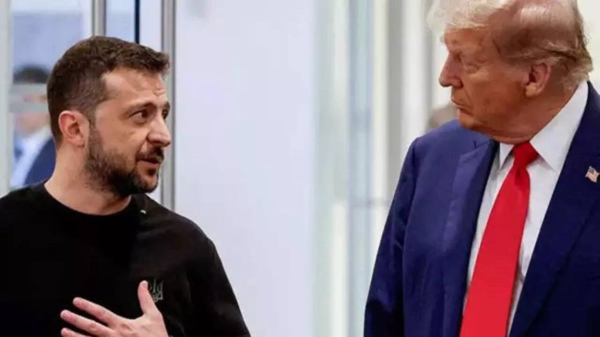 'What the hell...': What Donald Trump said when he found out Zelenskyy was in South Africa