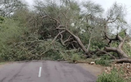 हरियाणा-पंजाब के 11 जिलों में बारिश का अलर्ट:3 दिन खराब रहेगा मौसम; हिमाचल में 3 जगह तेज बरसात की चेतावनी, रोहतांग में बर्फबारी हुई