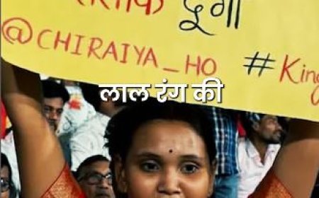 RCB की महिला फैन का वायरल पोस्टर: 'अगर फाइनल नहीं जीते तो पति को दे दूंगी तलाक!'