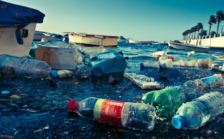 भारत-ईयू ने समुद्री प्रदूषण और ग्रीन हाइड्रोजन पर शुरू किए दो बड़े रिसर्च प्रोजेक्ट