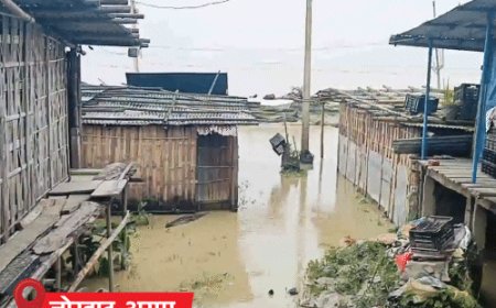 असम में 5 लाख लोग बाढ़ से प्रभावित, 11 मौतें:मध्य प्रदेश के 38 जिलों में बारिश; बिहार में आंधी-तूफान से 7 की जान गई