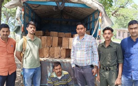 मंडी में लकड़ी तस्कर गिरफ्तार:बोलेरो पिकअप से 29 देवदार स्लीपर बरामद, तिरपाल से ढककर छुपाई थी