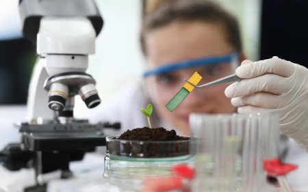 चेतना की पाठशाला डॉ विजय गर्ग  आज की शिक्षा व्यवस्था अंकों, परीक्षाओं