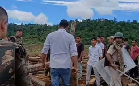 भास्कर अपडेट्स:पौधारोपण पर असम और मेघालय में सीमा विवाद, 400 लोगों ने पौधे उखाड़े, तोड़फोड़ और आगजनी की