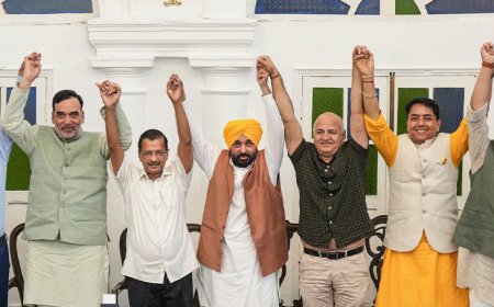 AAP ने उपचुनाव की जीत का जश्न दिल्ली में मनाया:केजरीवाल की अगुवाई में हुआ प्रोग्राम, सीएम मान समेत सारे नेता हुए शामिल