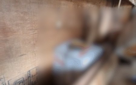 भोजपुर में 7 लाख की शराब बरामद:ट्रक के केबिन में छिपाकर रखा था, एक तस्कर गिरफ्तार; यूपी से लाई जा रही थी खेप