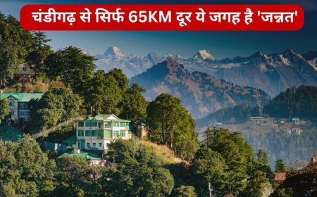 चंडीगढ़ से सिर्फ 65KM दूर ये जगह है ‘जन्नत’, यहां पहुंचने के बाद भूल जाएंगे सब!