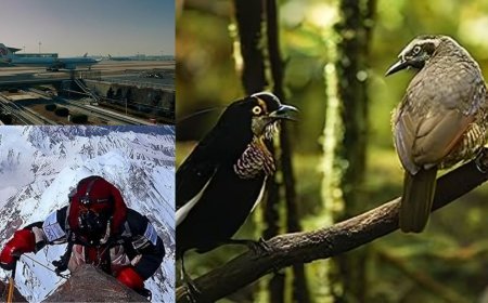 Netflix Recommendations: थ्रिलर-मोटिवेशन-मेलोड्रामा, सबकुछ मिलेगा हुजूर… आज ही निपटा डालिए ये 5 डॉक्यूमेंट्री सीरीज