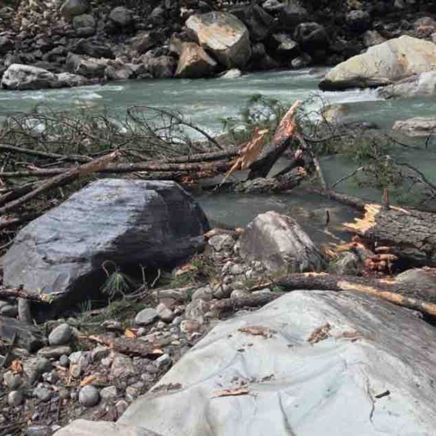 कुल्लू में 2 महिला टूरिस्ट घायल:तेज हवा के कारण पेड़ गिरा, एक की हालत गंभीर; पंजाब की रहने वाली