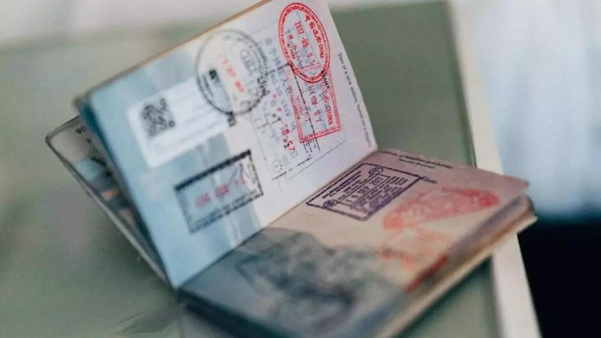From e-passports to colour-coded covers: Indian expats in UAE to see major passport overhaul in 2025