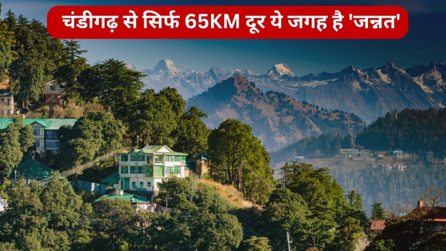 चंडीगढ़ से सिर्फ 65KM दूर ये जगह है ‘जन्नत’, यहां पहुंचने के बाद भूल जाएंगे सब!