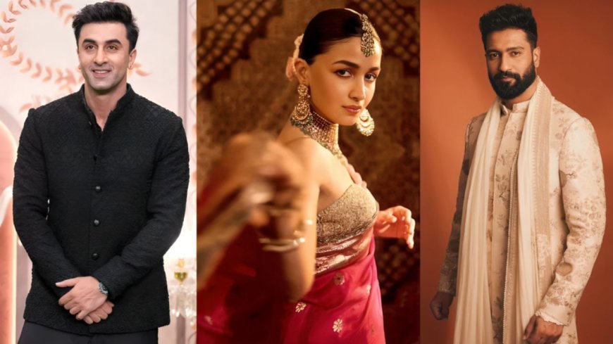 Love And War: ‘दोनों कमाल हैं लेकिन…’ भंसाली की फिल्म में आलिया-रणबीर संग काम कर विकी कौशल को कैसा लगा?